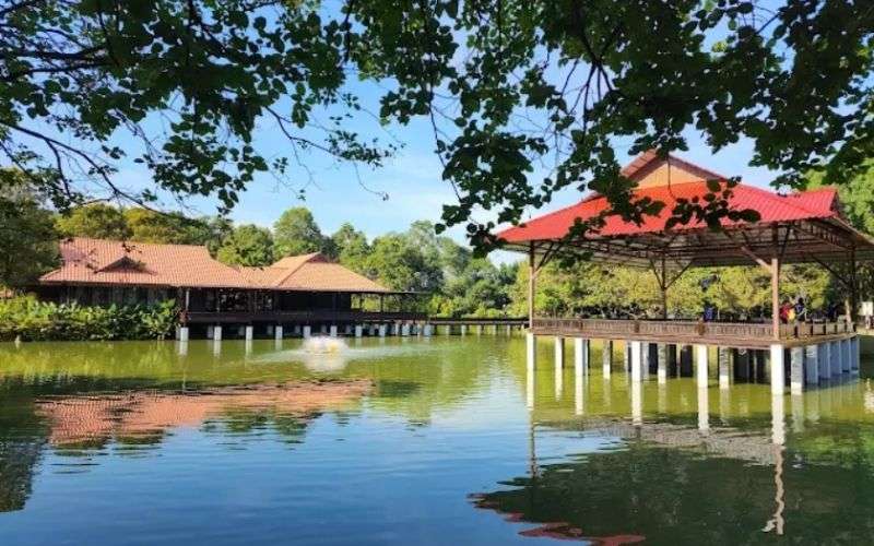 Hutan Bandar Rini 4