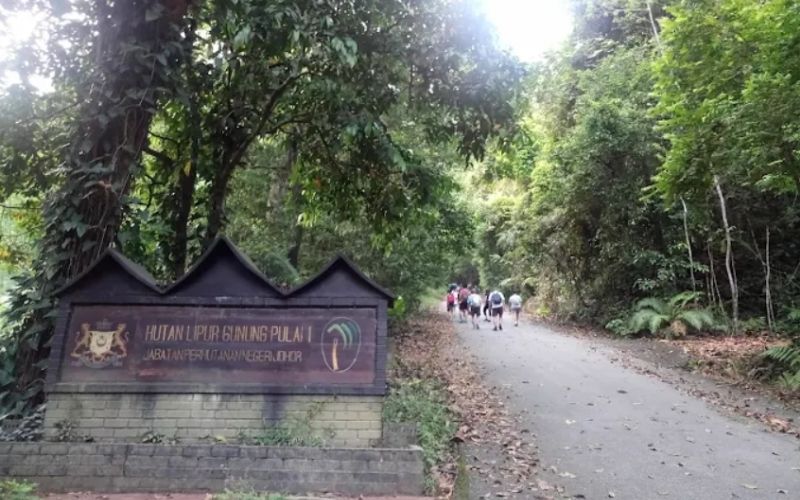 Gunung Pulai 9