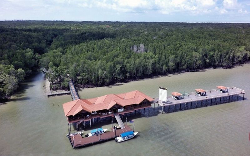 Taman Negara Johor Pulau Kukup 6