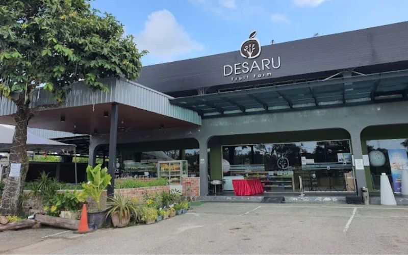 Desaru Fruit Farm 2